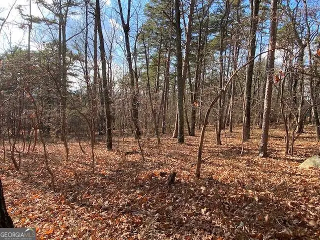 0 Quail Way #LOT 533, Jasper, GA 30143 - Image #3