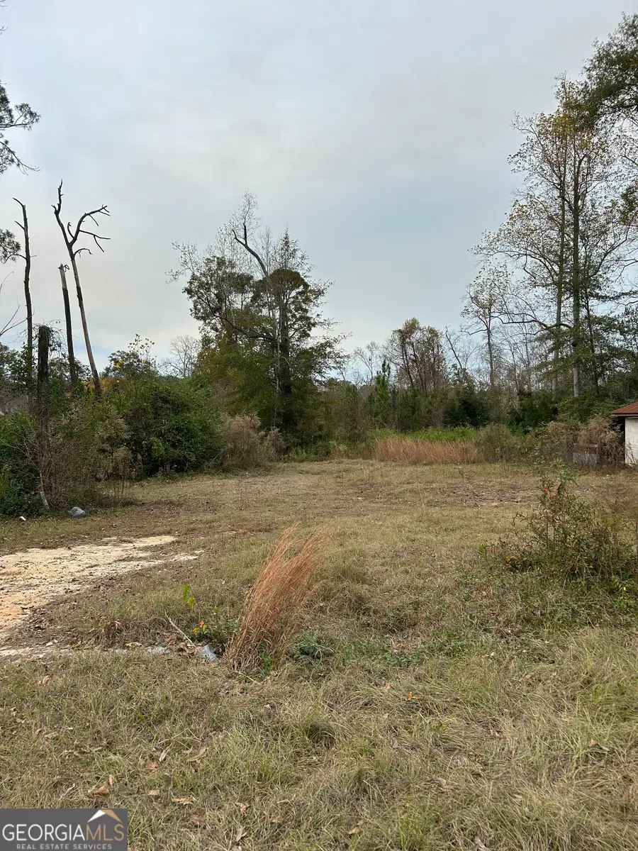 0 Center Ave, McRae, GA 31055 - Image #3