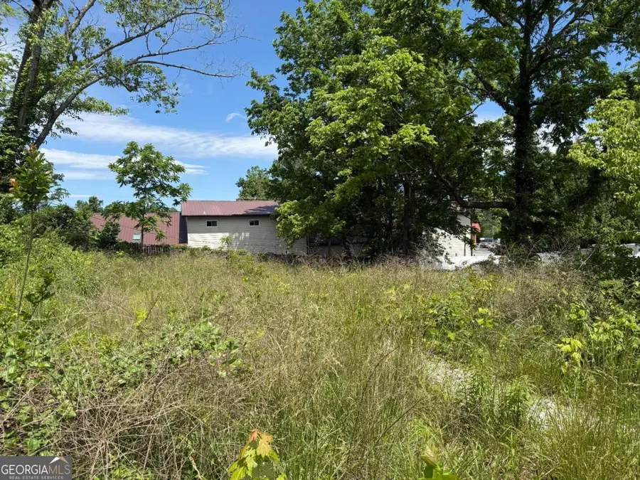 LT 19 E Second Street, Blue Ridge, GA 30513 - Image #2