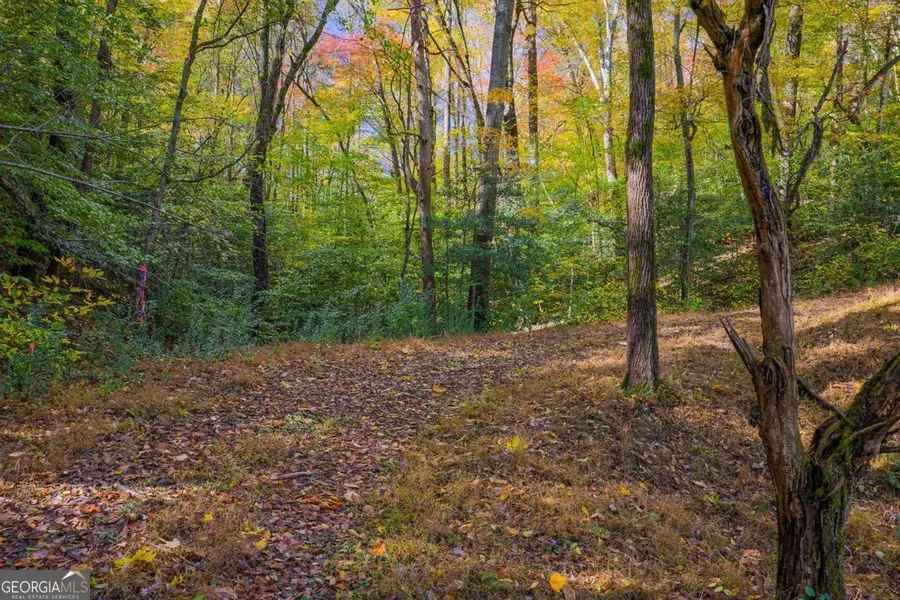 0 Hill Street, East Ellijay, GA 30540 - Image #2