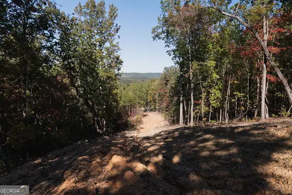 34 E Heritage Drive Ne, Rydal, GA 30171