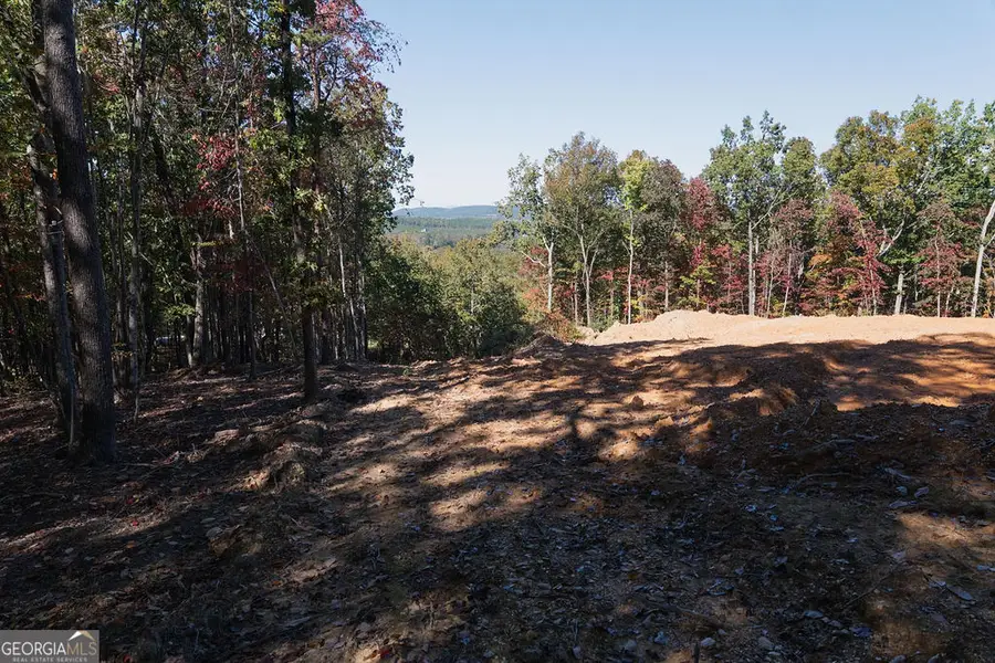 34 E Heritage Drive Ne, Rydal, GA 30171 - #2