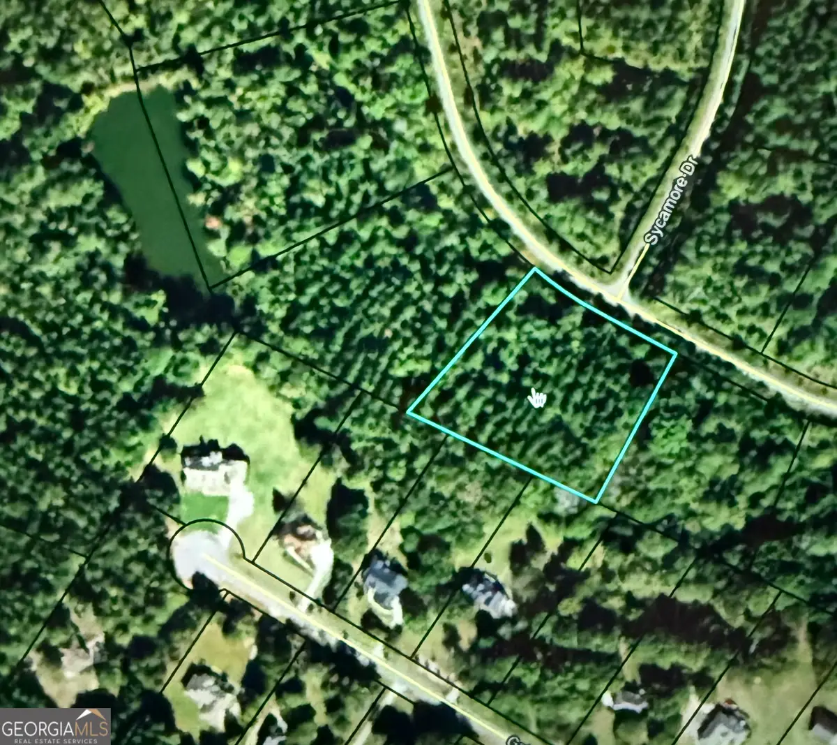 0 Colbert Danielsville Lot 10 Road, Danielsville, GA 30633 - Image #1