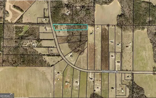 TRACT 18 Williams Circle, Elko, GA 31025