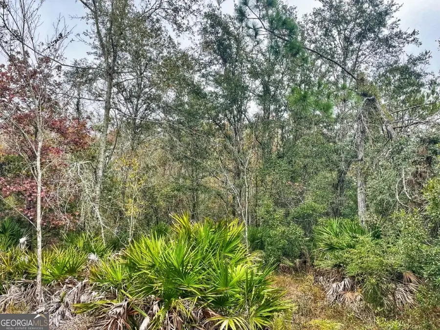 0 Highway 98, Perry, FL 32348 - Image #3