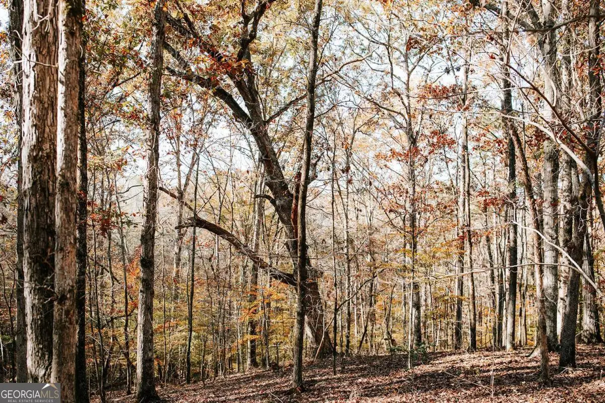 0 Greensboro Road, Crawfordville, GA 30631 - Image #1