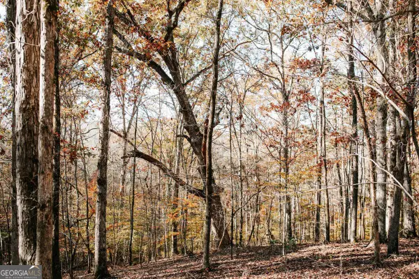 0 Greensboro Road, Crawfordville, GA 30631