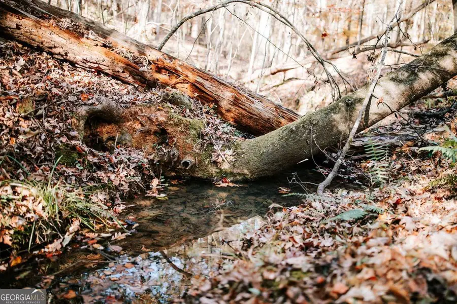 0 Greensboro Road, Crawfordville, GA 30631 - Image #2