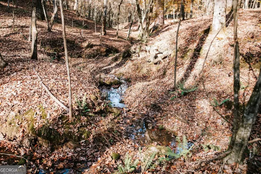 0 Greensboro Road, Crawfordville, GA 30631 - Image #3