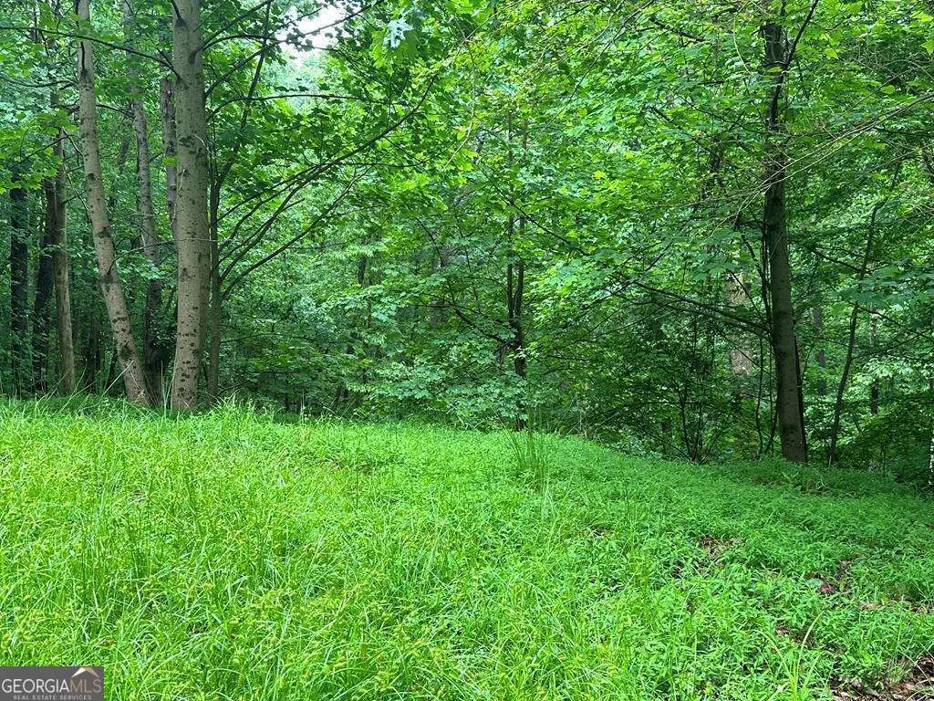 LOT 40 Timberwalk Drive #40, Ellijay, GA 30540 - Image #1