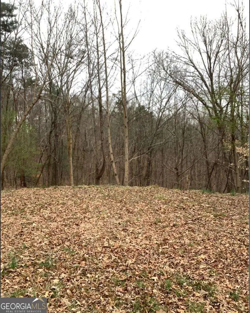 LOT 40 Timberwalk Drive #40, Ellijay, GA 30540 - Image #2
