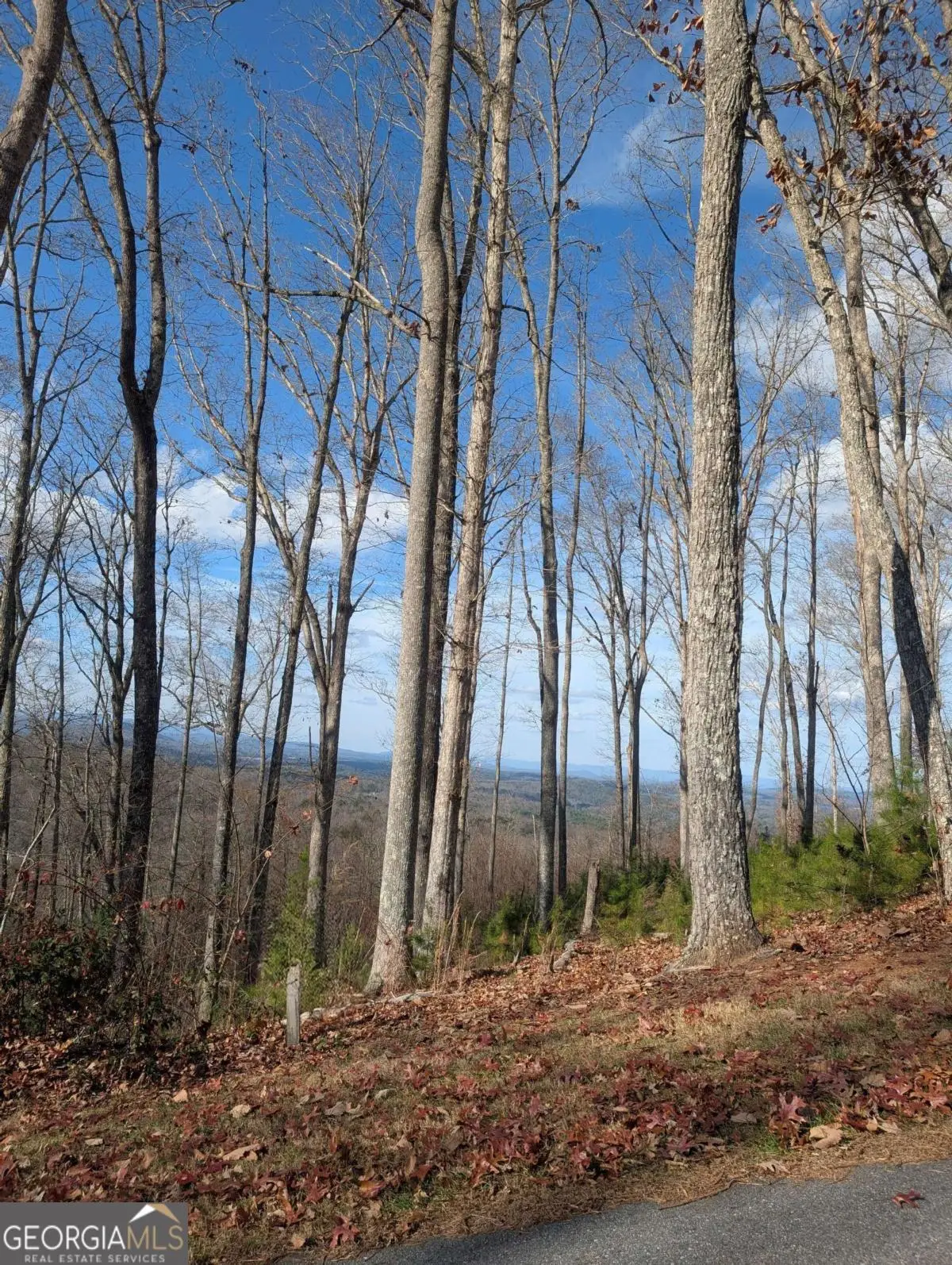 LOT 91 Winding Ridge, Blairsville, GA 30512 - Image #1