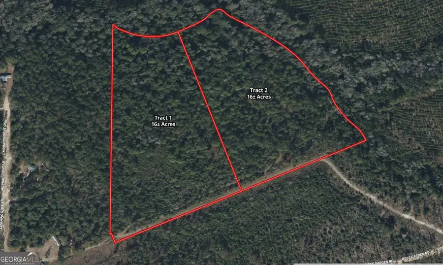 0 Sandpiper Lane #TRACT 2, Swainsboro, GA 30401 - Image #2