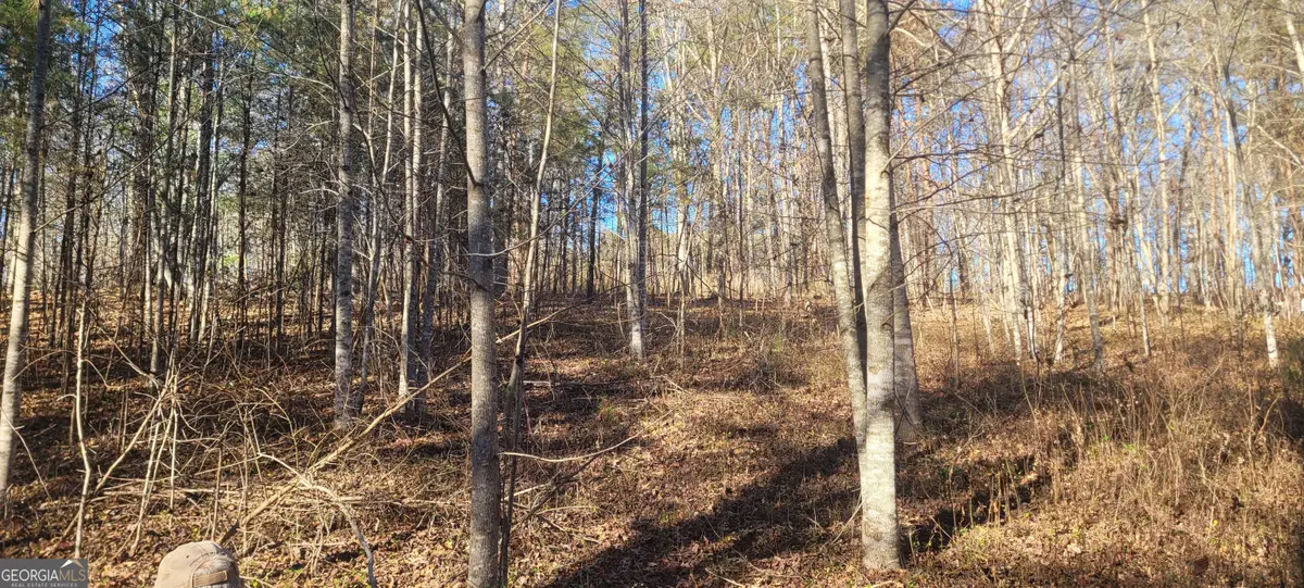 0 Avery Scroggs Road, Hayesville, NC 28904 - Image #1