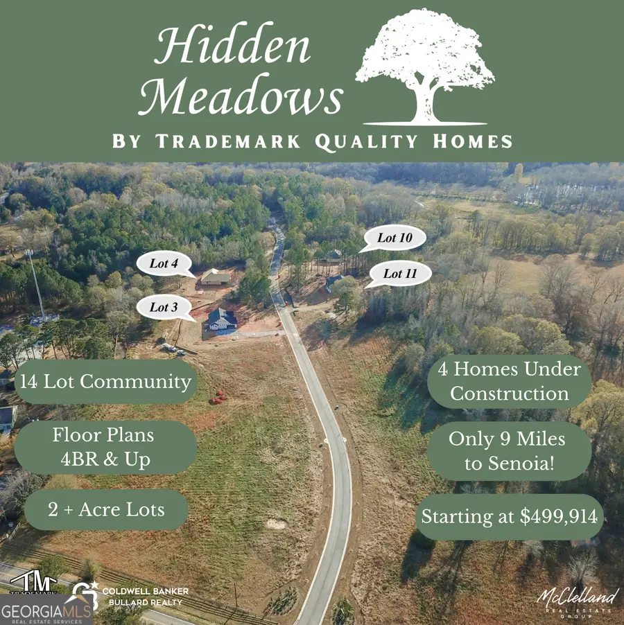 156 Hidden Meadows Drive, Gay, GA 30218 - Image #3
