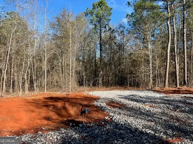 150 Berry Road, Barnesville, GA 30204 - Image #2