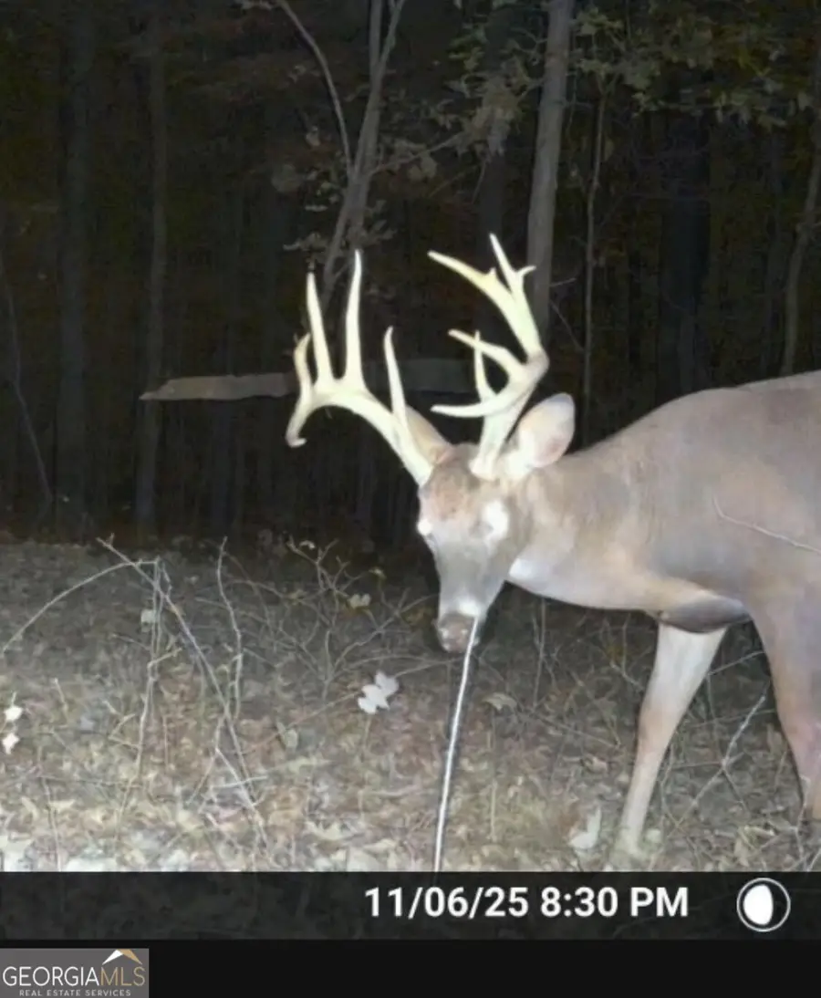 0 Ga Hwy 72, Comer, GA 30629 - Image #2