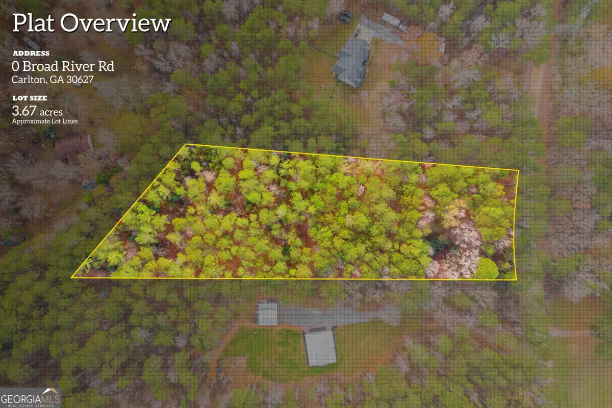 0 Broad River Road, Carlton, GA 30627 - Image #1