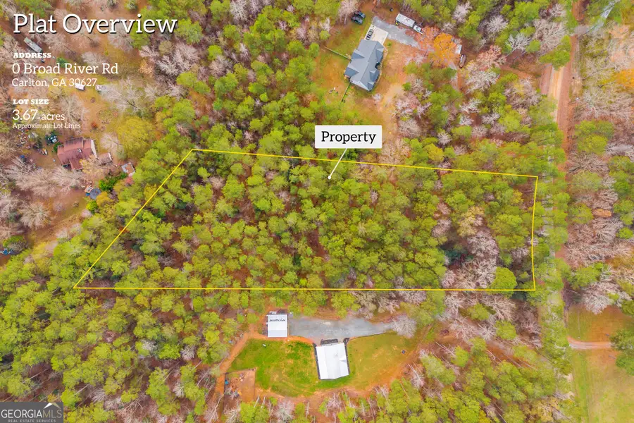0 Broad River Road, Carlton, GA 30627 - Image #2