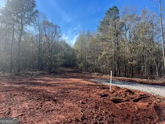 144 Berry Road, Barnesville, GA 30204 - Image #3