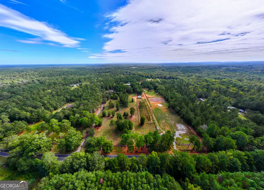 175 ACRES Roosevelt Highway, Warm Springs, GA 31830 - Image #3