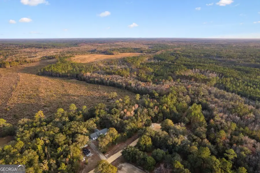 255 Spell Landing Road, Hortense, GA 31543 - Image #3