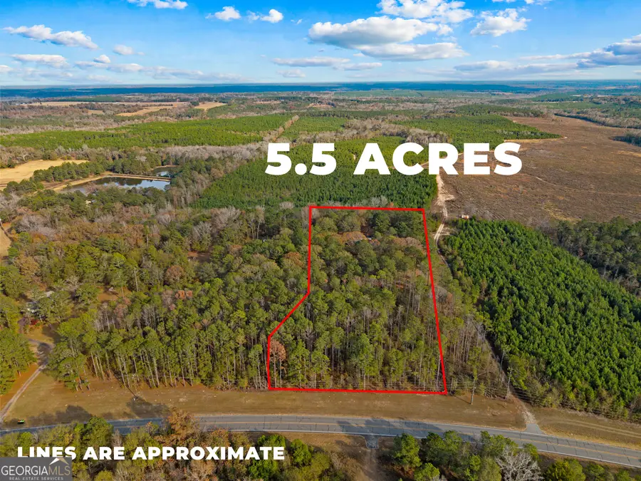 84 Weaver Lane, Buena Vista, GA 31803 - Image #2