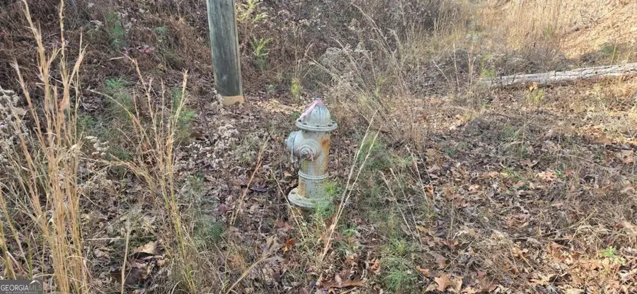 00001 Matt Highway, Ball Ground, GA 30107 - Image #3