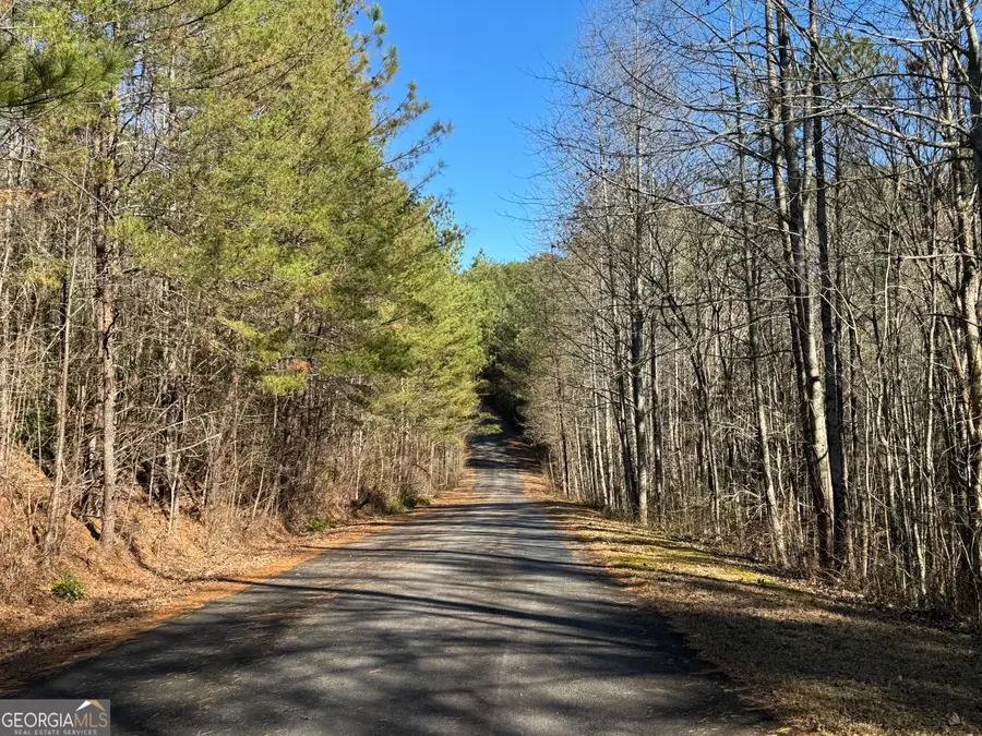 LOT 32 East Ridge Lane, Ellijay, GA 30536 - Image #3