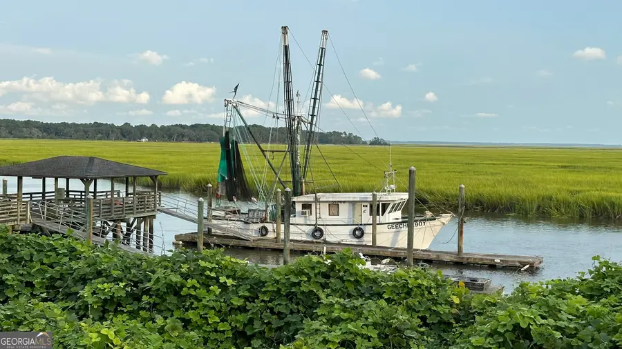 0 Pelican Perch Drive, Townsend, GA 31331 - Image #2