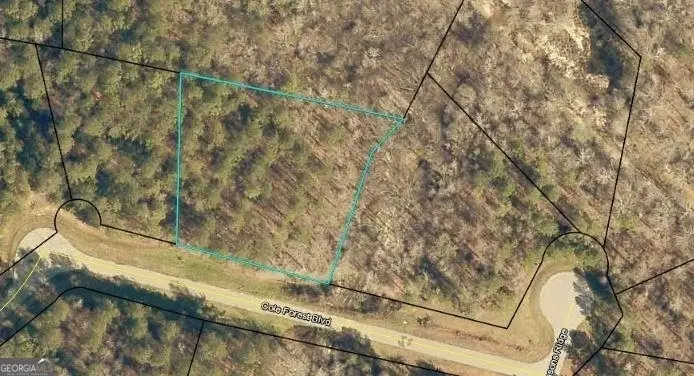 LOT 112 Cole Forest Boulevard #LOT 112, Barnesville, GA 30204 - Image #1