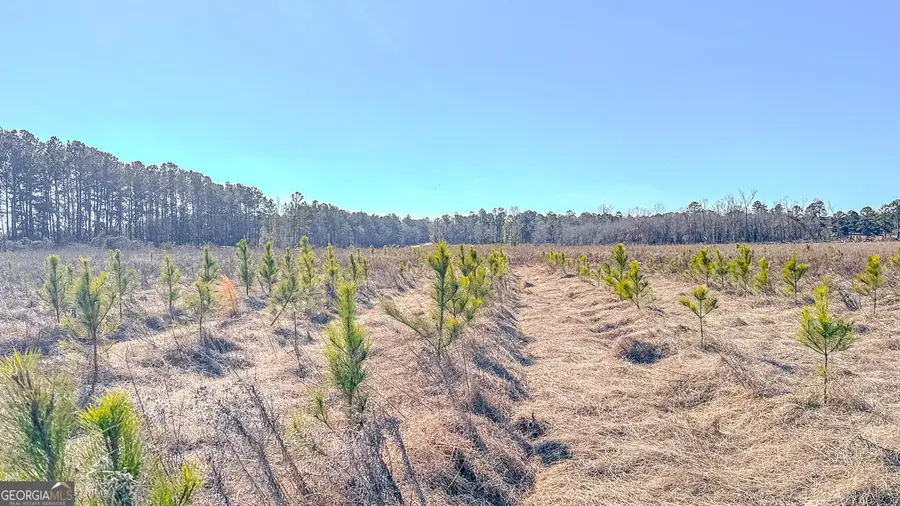 0 Highway 301 #12, Statesboro, GA 30461 - Image #3