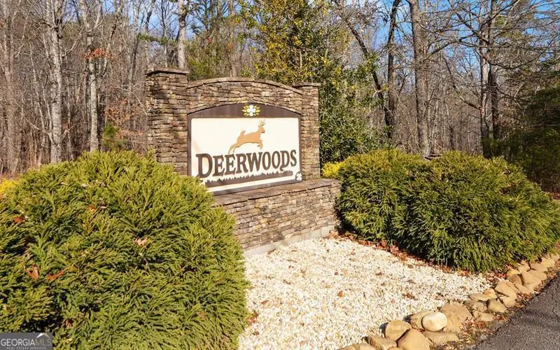 0 Twin Fawns, Dahlonega, GA 30533 - Image #3