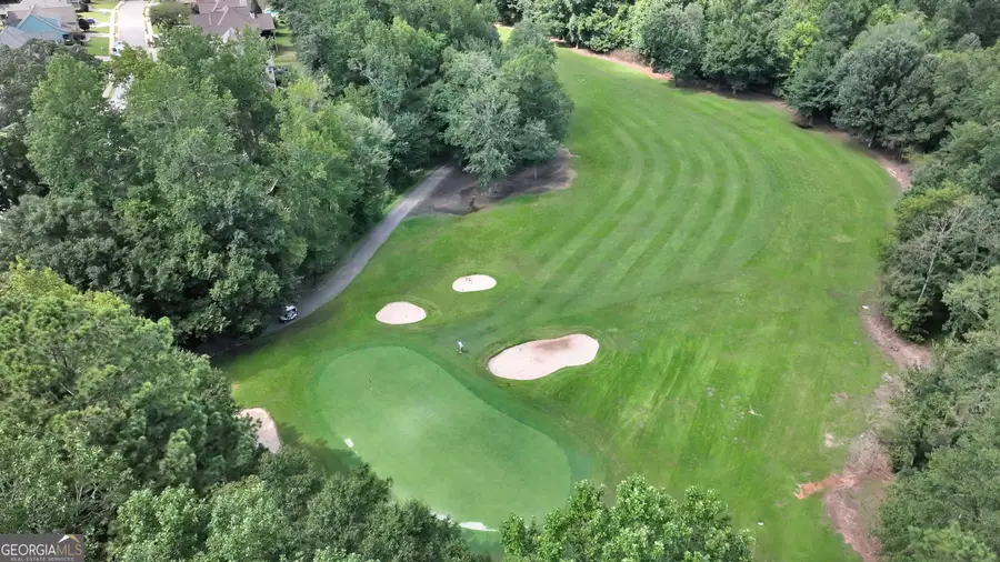 233 Horizon Hill, Newnan, GA 30265 - Image #3