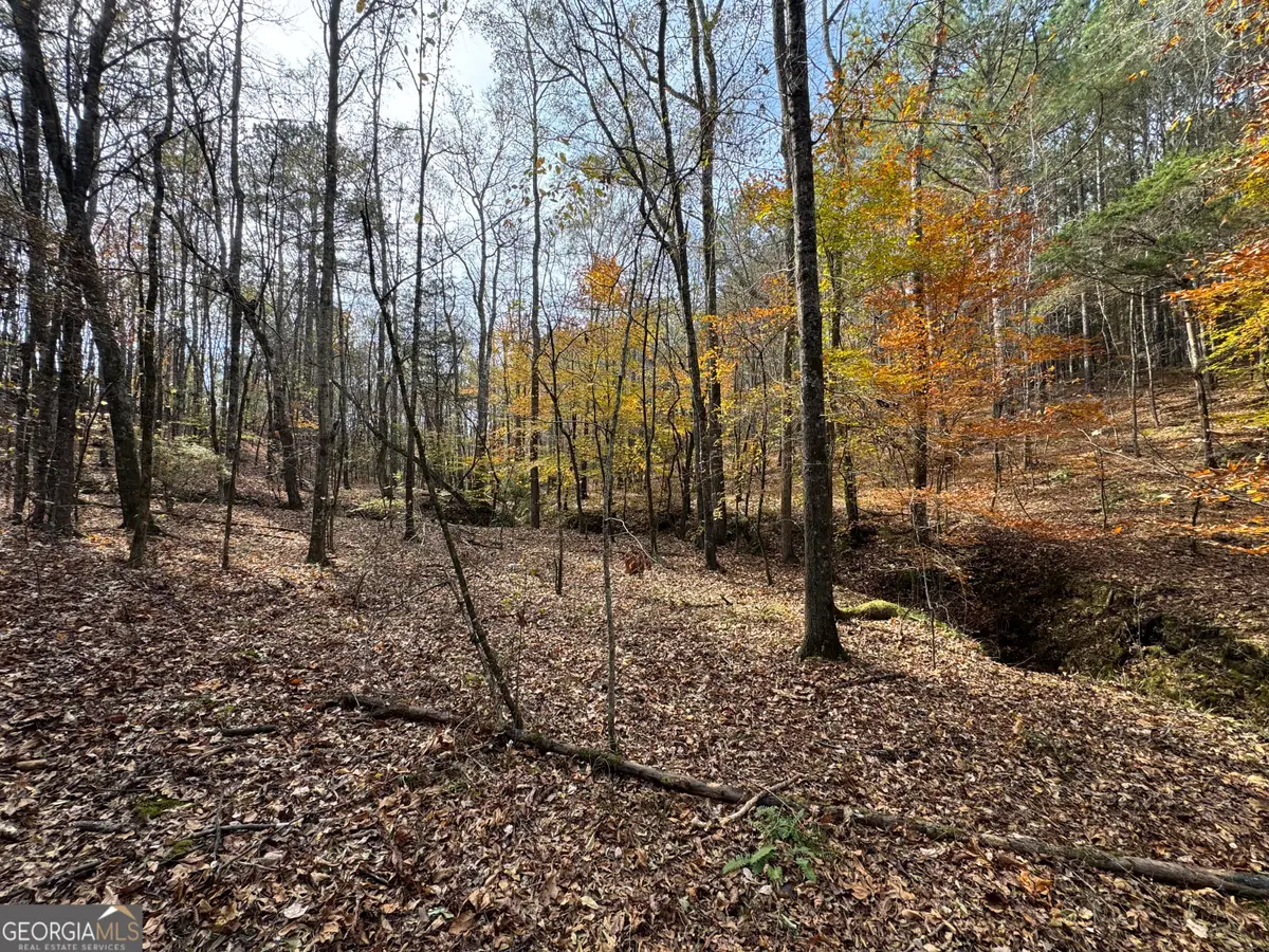 0 Old Middleton Road, Elberton, GA 30635 - Image #1