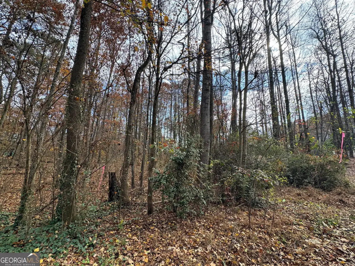 0 Hamby Road, Acworth, GA 30102 - #1