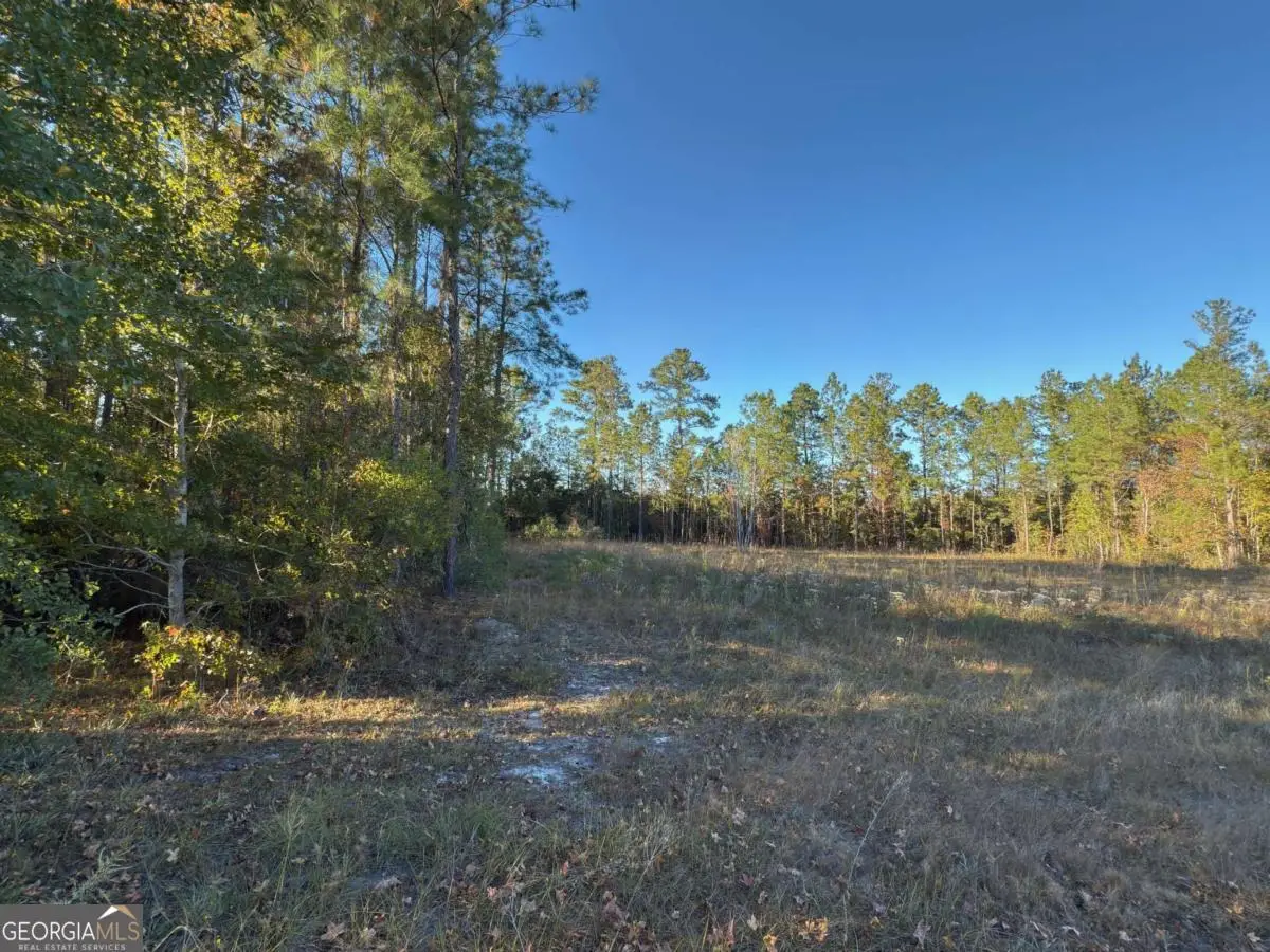 LOT 1 Wildwood Country Estates/thoroughbred Road, Woodbine, GA 31569 - Image #1