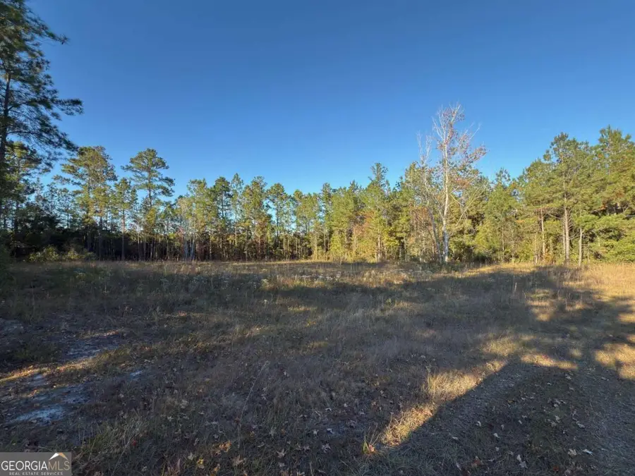LOT 1 Wildwood Country Estates/thoroughbred Road, Woodbine, GA 31569 - Image #2
