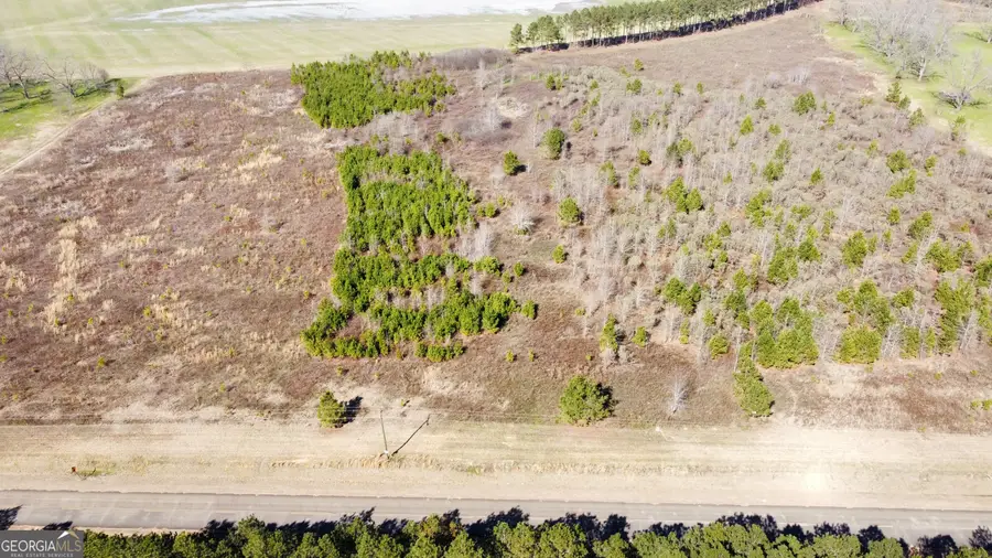 4 N County Line Road, Elko, GA 31025 - Image #3