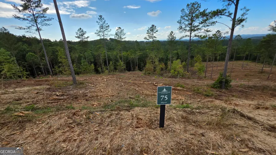 75 Elkton Court, Ellijay, GA 30540 - Image #3