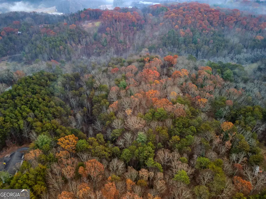 260 Fain Street, Morganton, GA 30560 - Image #3