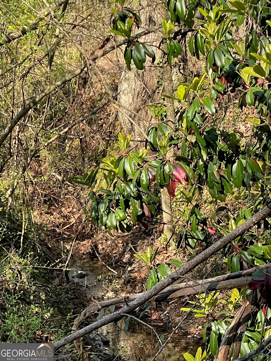 0 Barker Road, Rome, GA 30165 - #3