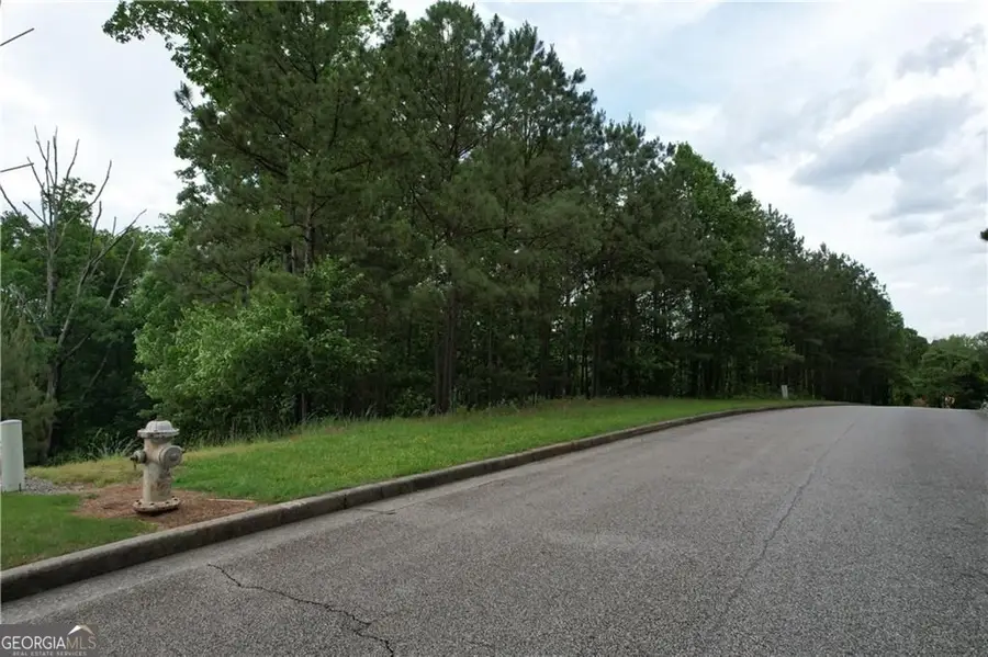 224 Pindos Place Sw, Powder Springs, GA 30127 - Image #3