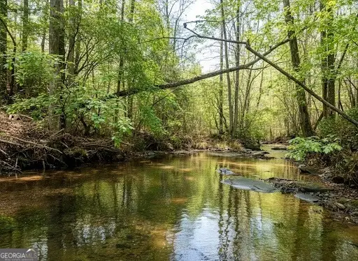 2468 Twisted Oak Road, Talking Rock, GA 30175 - #2