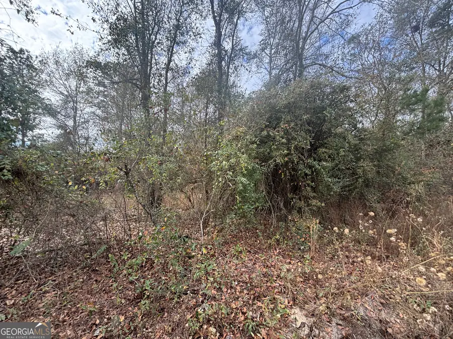 PARCEL A Wiggum Rd & St James Road, Cochran, GA 31014 - Image #3