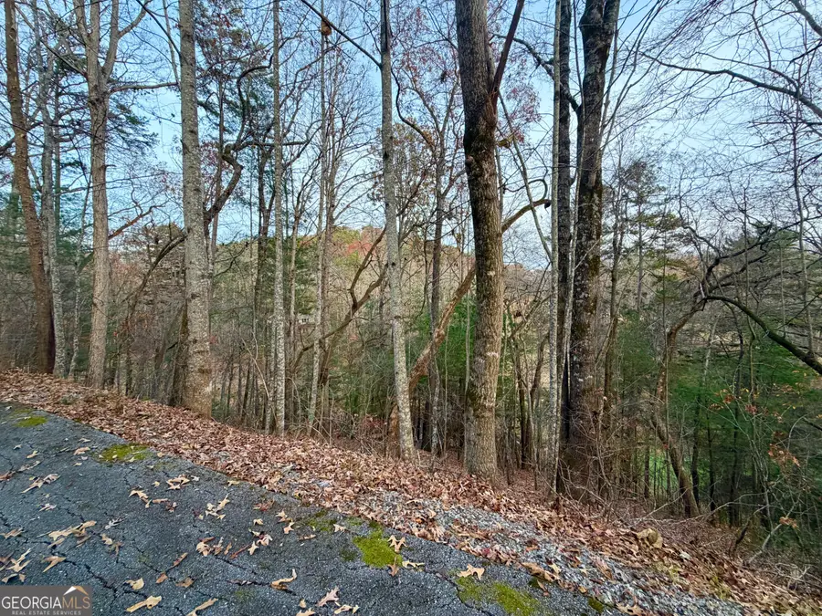 0 Kingwood Court Lane, Clayton, GA 30525 - Image #2