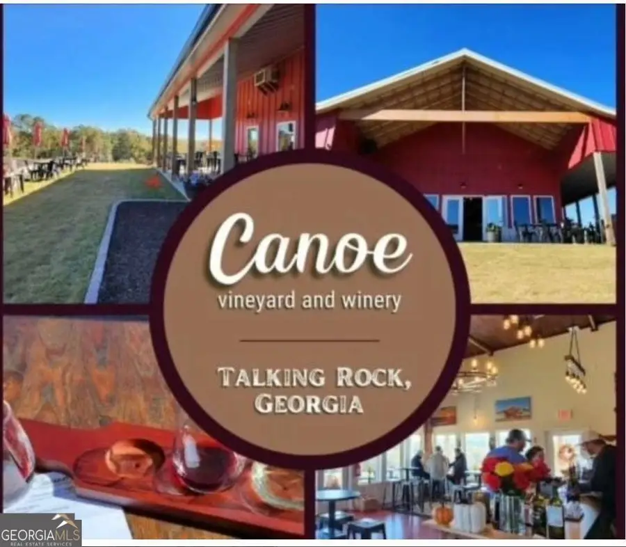 74 Grizzle Court, Ellijay, GA 30540 - #3