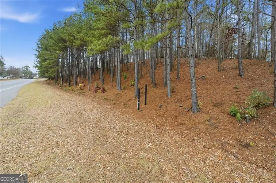 0 Mohawk Trail, Suwanee, GA 30024 - #2