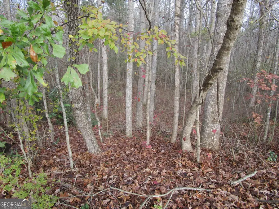 135 Four Oaks Drive, Griffin, GA 30224 - Image #3