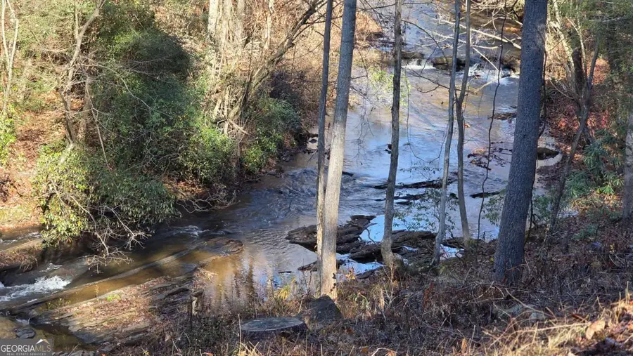 0 Dell Moore Road, Marble Hill, GA 30148 - Image #2